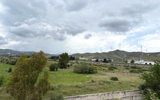 1001/08 – TERRENO PIANEGGIANTE DI OLTRE 8 ETTARI ALLI