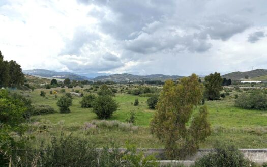 1001/08 – TERRENO PIANEGGIANTE DI OLTRE 8 ETTARI ALLI