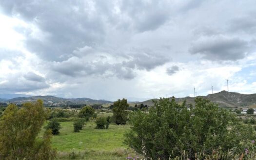 1001/08 – TERRENO PIANEGGIANTE DI OLTRE 8 ETTARI ALLI