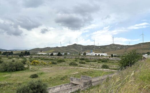 1001/08 – TERRENO PIANEGGIANTE DI OLTRE 8 ETTARI ALLI