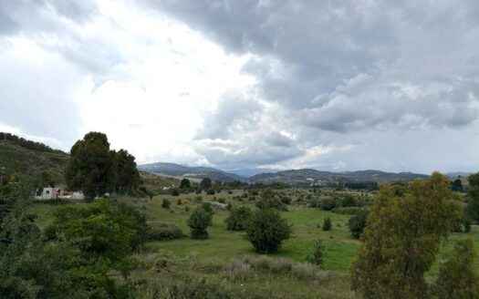 1001/08 – TERRENO PIANEGGIANTE DI OLTRE 8 ETTARI ALLI