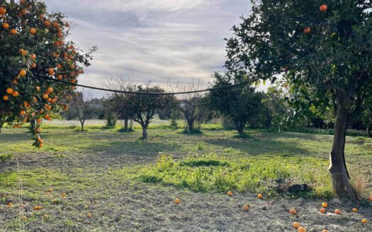 958/08 – TERRENO IN VENDITA A ROCCELLETTA ROCCELLETTA