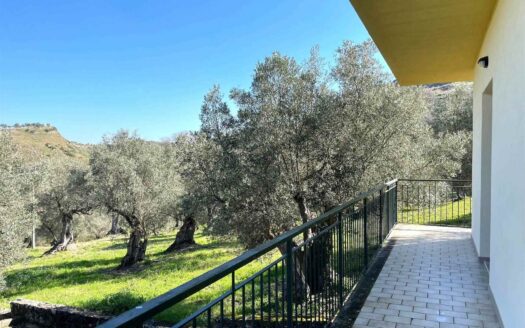 979/08 – SPLENDIDA VILLA IMMERSA NEL VERDE