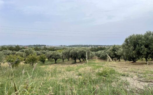 949/08 – LOTTO DI TERRENO AGRICOLO IN VENDITA