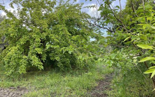 938/08 – TERRENO AGRICOLO IN VENDITA A ROCCELLETTA ROCCELLETTA