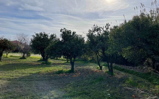 958/08 – TERRENO IN VENDITA A ROCCELLETTA ROCCELLETTA