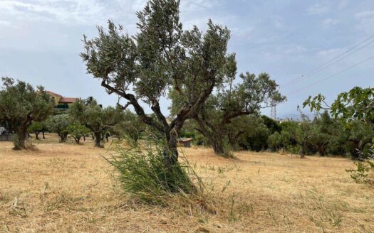 978/08 – TERRENO IN VENDITA A SIANO SIANO