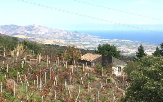 869/08 – Palmento con terreno edificabile a Montargano MONTARGANO