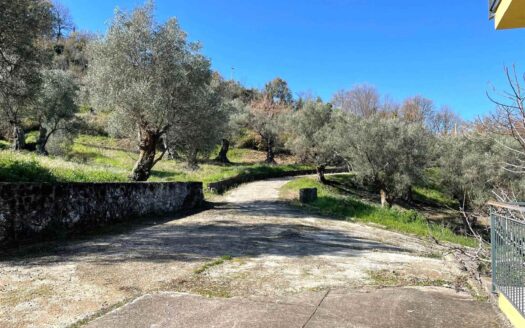 979/08 – SPLENDIDA VILLA IMMERSA NEL VERDE