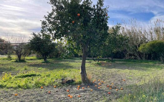 958/08 – TERRENO IN VENDITA A ROCCELLETTA ROCCELLETTA