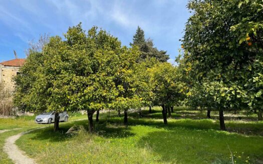 793/08 – Terreno Agricolo Pianeggiante in Vendita ALLI