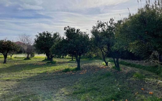 958/08 – TERRENO IN VENDITA A ROCCELLETTA ROCCELLETTA