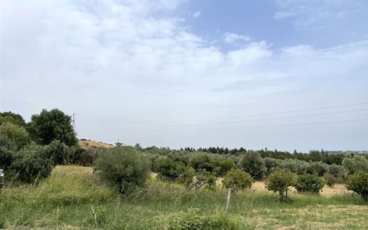 949/08 – LOTTO DI TERRENO AGRICOLO IN VENDITA