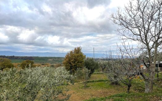 991/08 – FABBRICATO RURALE CON TERRENO