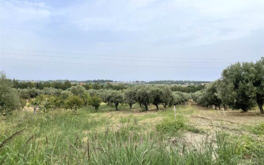 949/08 – LOTTO DI TERRENO AGRICOLO IN VENDITA