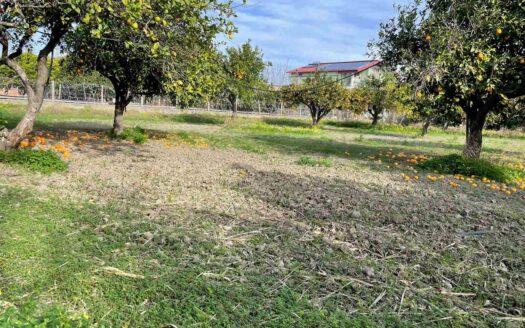 958/08 – TERRENO IN VENDITA A ROCCELLETTA ROCCELLETTA