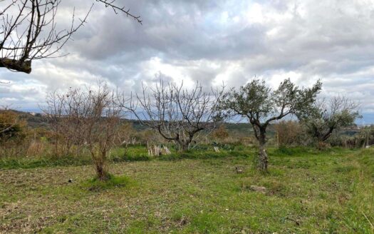 991/08 – FABBRICATO RURALE CON TERRENO