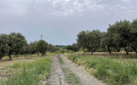 949/08 – LOTTO DI TERRENO AGRICOLO IN VENDITA