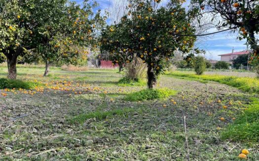 958/08 – TERRENO IN VENDITA A ROCCELLETTA ROCCELLETTA