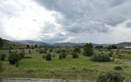 1001/08 – TERRENO PIANEGGIANTE DI OLTRE 8 ETTARI ALLI