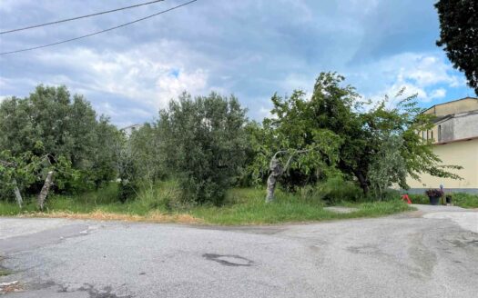 936/08 – RUSTICO CON TERRENO IN VENDITA A ROCCELLETTA ROCCELLETTA