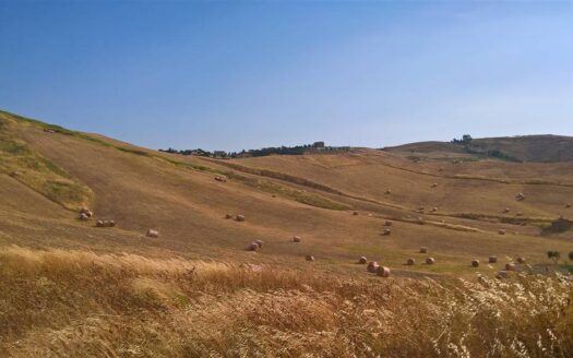 606/08 – TERRENO AGRICOLO IN VENDITA BARONE