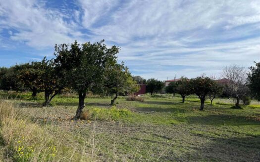 958/08 – TERRENO IN VENDITA A ROCCELLETTA ROCCELLETTA