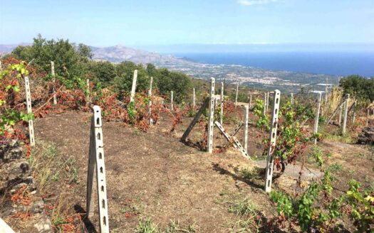 869/08 – Palmento con terreno edificabile a Montargano MONTARGANO