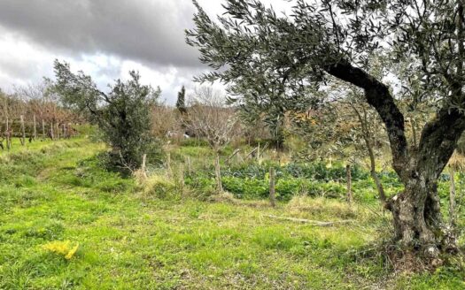 991/08 – FABBRICATO RURALE CON TERRENO