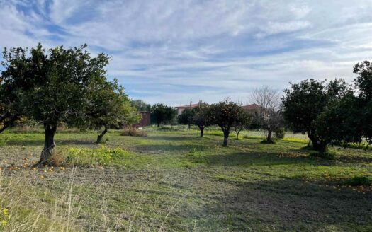 958/08 – TERRENO IN VENDITA A ROCCELLETTA ROCCELLETTA