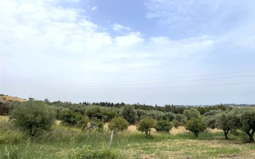 949/08 – LOTTO DI TERRENO AGRICOLO IN VENDITA