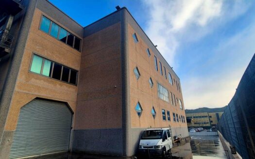 446/09 – Capannone industriale in affitto