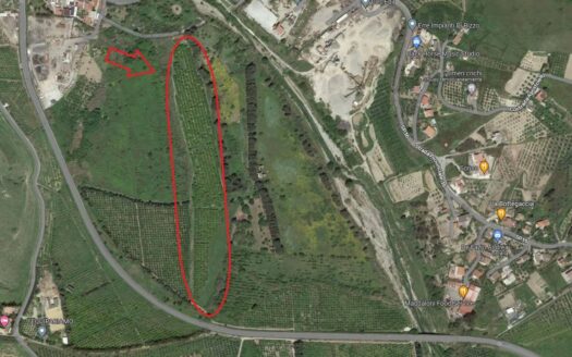 793/08 – Terreno Agricolo Pianeggiante in Vendita ALLI