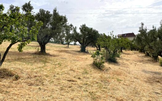 978/08 – TERRENO IN VENDITA A SIANO SIANO