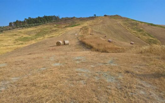 606/08 – TERRENO AGRICOLO IN VENDITA BARONE