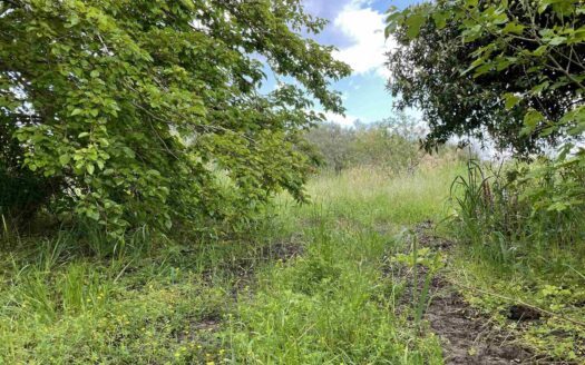 938/08 – TERRENO AGRICOLO IN VENDITA A ROCCELLETTA ROCCELLETTA