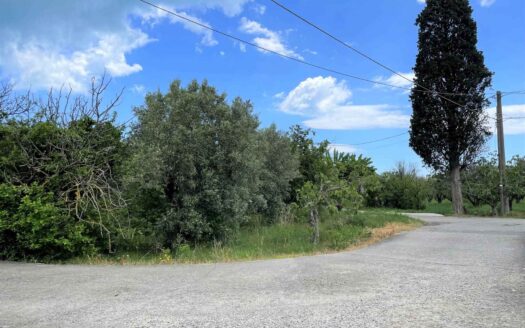 936/08 – RUSTICO CON TERRENO IN VENDITA A ROCCELLETTA ROCCELLETTA