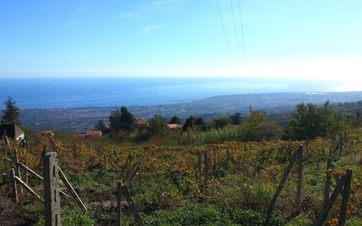 869/08 – Palmento con terreno edificabile a Montargano MONTARGANO