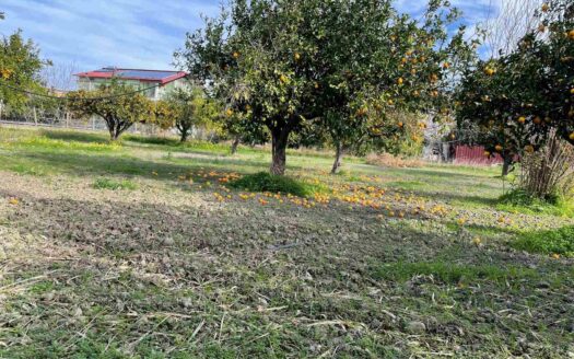 958/08 – TERRENO IN VENDITA A ROCCELLETTA ROCCELLETTA