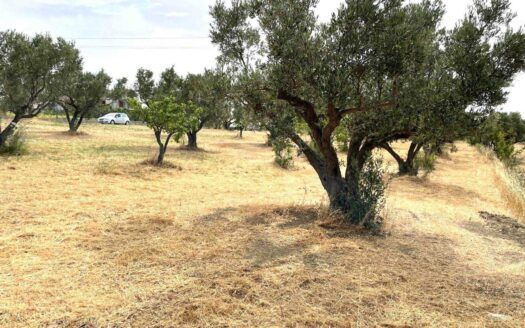 978/08 – TERRENO IN VENDITA A SIANO SIANO
