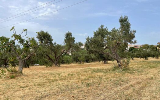 978/08 – TERRENO IN VENDITA A SIANO SIANO