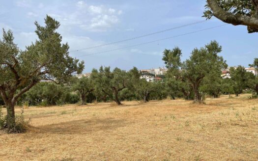 978/08 – TERRENO IN VENDITA A SIANO SIANO