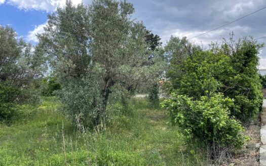 936/08 – RUSTICO CON TERRENO IN VENDITA A ROCCELLETTA ROCCELLETTA