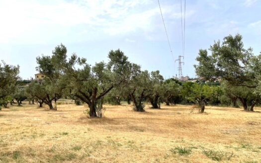 978/08 – TERRENO IN VENDITA A SIANO SIANO