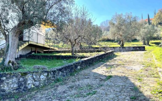 979/08 – SPLENDIDA VILLA IMMERSA NEL VERDE