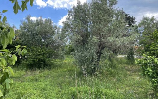 936/08 – RUSTICO CON TERRENO IN VENDITA A ROCCELLETTA ROCCELLETTA