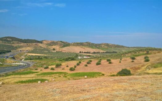 606/08 – TERRENO AGRICOLO IN VENDITA BARONE