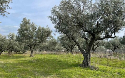 895/08 – TERRENO AGRICOLO IN VENDITA SIMERI MARE