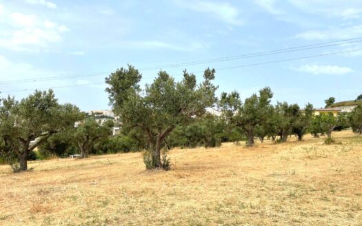 978/08 – TERRENO IN VENDITA A SIANO SIANO
